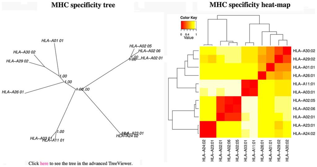 Thomsen et al. Page 11 Fig. 2. The static output from the MHCcluster server.