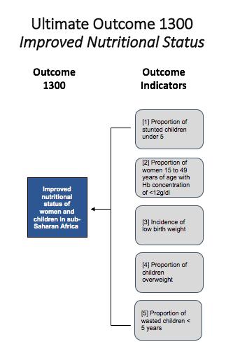 EXPLANATION OF PERFORMANCE FRAMEWORK INDICATORS The ANI PMF measured ultimate outcomes as well as intermediate outcomes, immediate outcomes, and outputs in three different pathways.