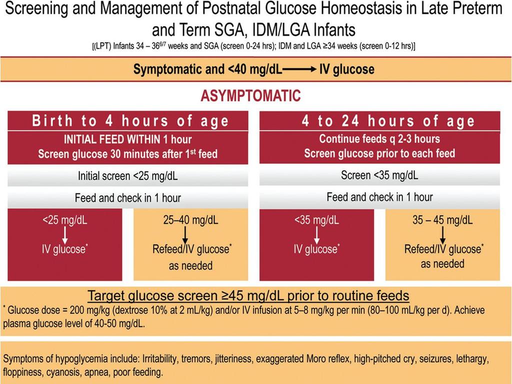 Management of Hypoglycemia Weaning IV infusions: when BG levels have been stable for 12-24 hours, Begin decreasing IV infusion by 1-2 ml/hr q 3-4 hours if BG > 50-60mg/dL.
