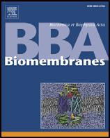 Biochimica et Biophysica Acta 1788 (2009) 53 63 Contents lists available at ScienceDirect Biochimica et Biophysica Acta journal homepage: www.elsevier.