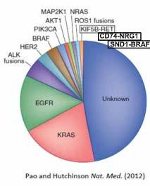 with Kras mutation Correlated with ERBB3 phosphorylation