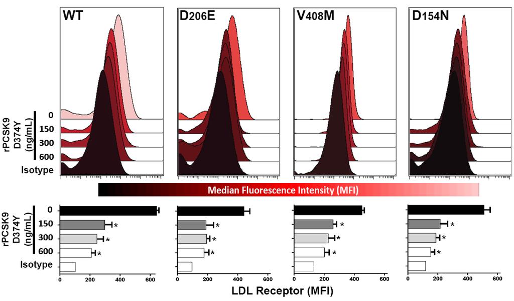 PCSK9 Similarly Reduces LDLR Cell Surface