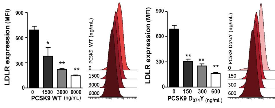 PCSK9 Reduces LDLR Cell Surface Expression Dose Dependently MFI: median fluorescence