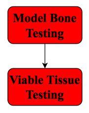 Aim 3 Use non-viable porcine tissue or Sawbone