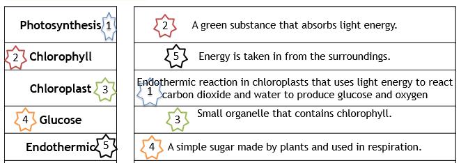L1. Photosynthesis answers Task 1: Label the diagram of the plant cell below Task 2: Write the chemical