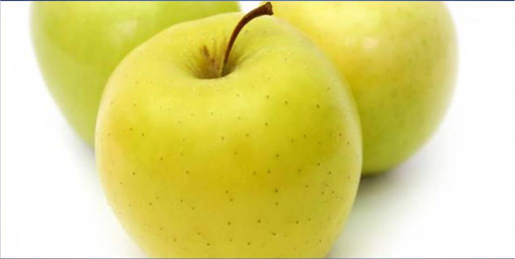 An Apple a day Keeps the Doctor away English Proverb Nutrition and IBD Etiology: Increased risk of IBD