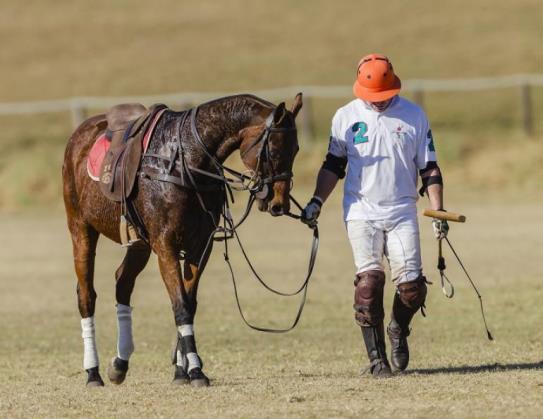 Signs of Tying Up The signs of tying up vary with the severity of the condition and the speed of onset. In mild cases, the horse s gait gradually stiffens and he becomes reluctant to move.