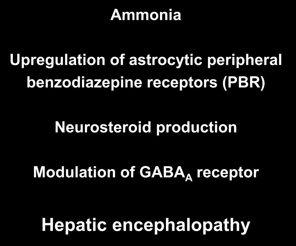 Pathophysiology of Hepatic Encephalopathy Ammonia Upregulation of astrocytic peripheral