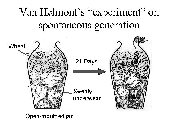 VanHelmont s evidence for spontaneous generation for if you press a piece of underware soiled with sweat together with some wheat in an open mouth jar, after about 21 days the odor changes and the
