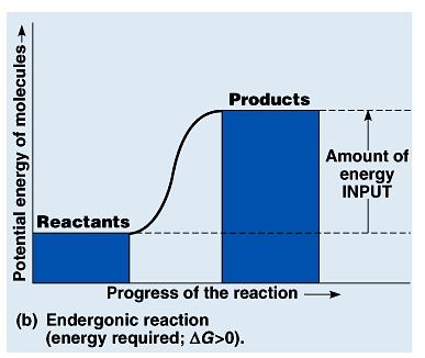 An endergonic reaction is one that absorbs free energy from its surroundings.