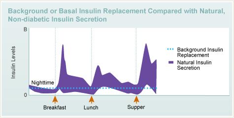 Insulin secretion In response to a meal, 60-80 μu/ml Background insulin secreted