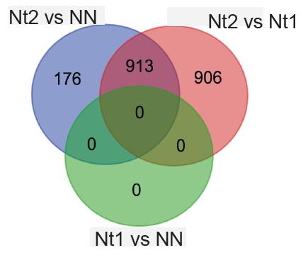 Pathway analysis of DC transcriptional patterns suggest increased maturation and activation G DEG Nt2 vs NN : 189 genes(fdr<1e-5) 15 <.1.9 I D.793 15 CD86 MFI S 1.21 DC Maturation 2 IL12 Sig.