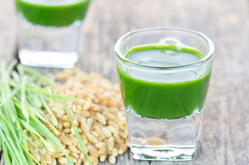 The HUGE Difference Between Wheat and Wheatgrass You might see that headline and think, Of course wheat and wheatgrass are two different things!