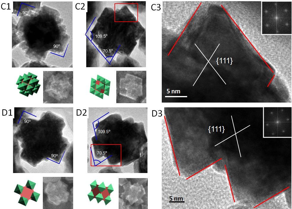 Column 1 and 2 are TEM images of the HMNCs viewed from the <100> and <110> directions respectively. The characteristic projection angles of an octahedron (90 in <100> direction; 109.