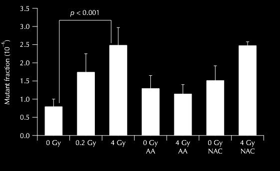 Mutation frequency of recipient CHO cells by MT AA (L-ascorbic acid; 1.0 mm) NAC (N-acetylcysteine; 0.5 mm) * : p < 0.05; ** : p < 0.01.