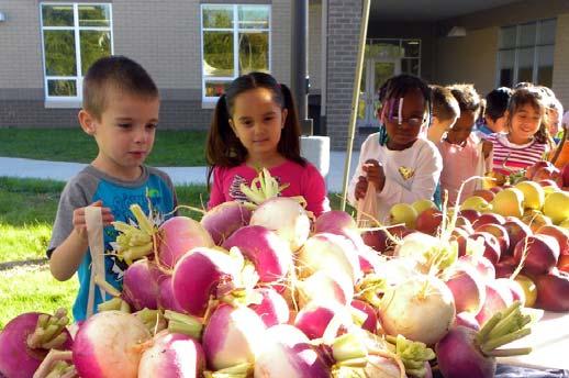 Farm to School Farm to School is a program that connects schools (K 12) and local farms with the objectives of serving healthy meals in school cafeterias, improving student nutrition, providing