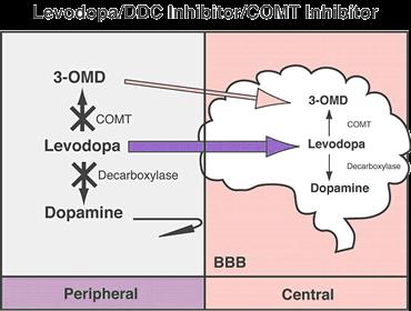 COMT inhibitors: Entacapone and