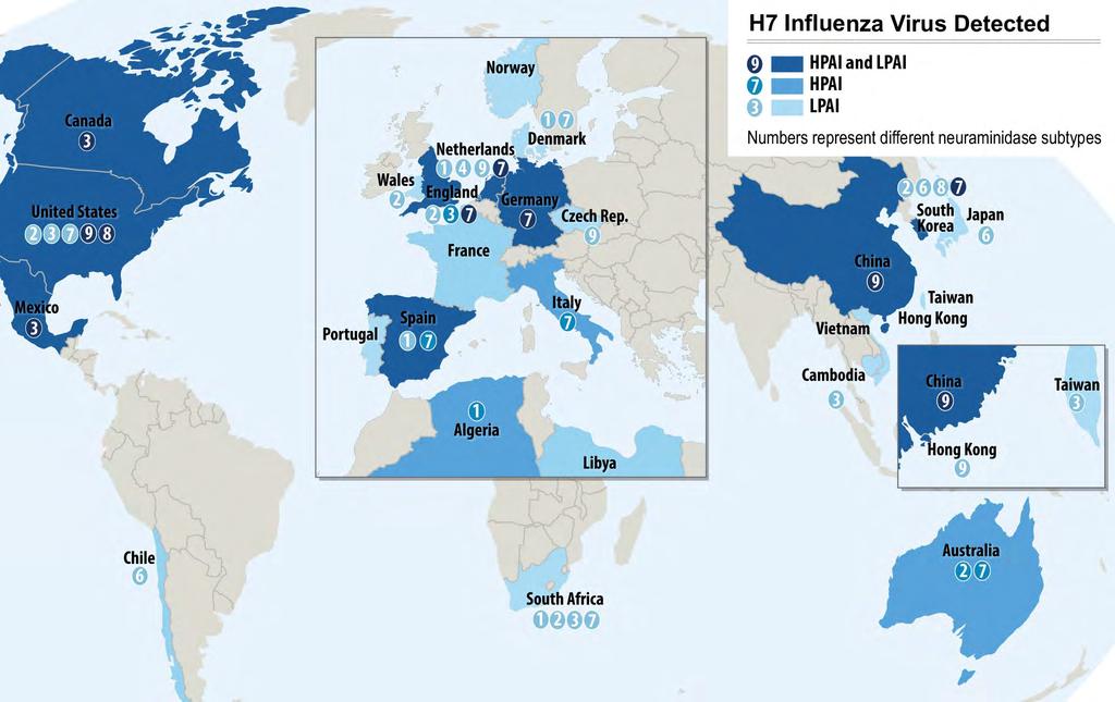 Detection of H7 subtype influenza viruses in avian species Belser