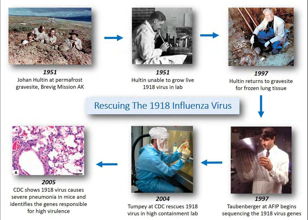 Taubenberger et al, Science 1997 and Antiviral Ther