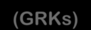 The G Protein-Coupled Receptor Kinases (GRKs) Serine/ Threonine