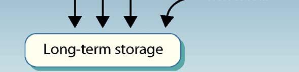 processes are then moved into short-term storage.