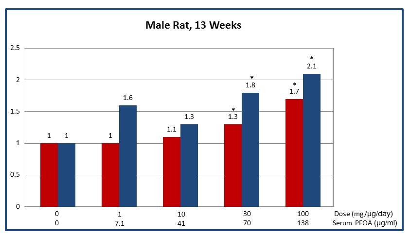 Figure 15. Relative liver weight and relative PCO activity (compared to controls) versus serum PFOA concentrations in male rats and mice dosed with PFOA for 4, 7, or 13 weeks (Perkins et al., 2004).