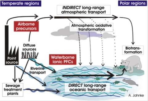 Figure 2. Major transport pathways of PFCs to the Arctic (and other remote locations), by Annika Jahnke (Butt et al.