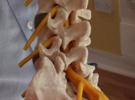 pain. What is Chiropractic? Many of our patients are new to Chiropractic, so what is it?