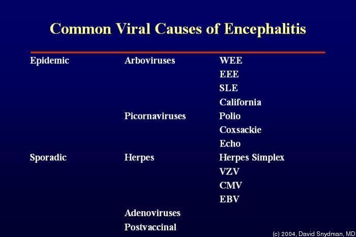 2. Encephalitis (grey matter disease) Viral replication occurs in the brain tissue itself, causing destructive lesions in the grey matter.