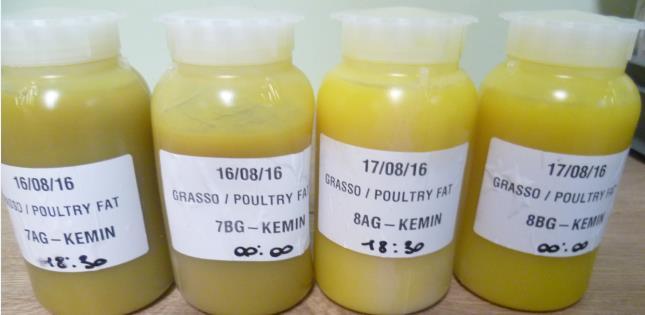 0 9.0 8.0 7.0 6.0 5.0 4.0 3.0 2.0 1.0 0.0 Poultry Meal FFA (Average) % in Poultry Meal 5.0 4.8 @4kgs Allinsur FS11 /t of viscera @5kgs Allinsur FS11 /t of viscera 6.