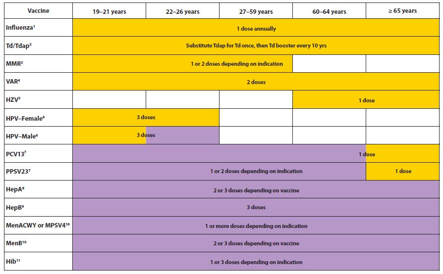 Schedule for Adults (19 Years +) by Age Recommended Immunization Schedule for Adults Aged 19 Years or Older.