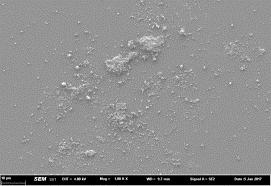 It can be seen clearly that ZnO nanoparticles dispersed on surface of ECTP5 coating.