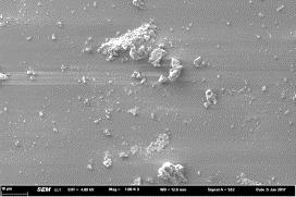 nanoparticles disappeared with increasing of TC concentration as a solvent encouraging the dispersion of ZnO nanoparticles.