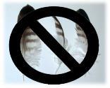 Avoidance/Elimination of Allergens Remove feathers, kapok, wool
