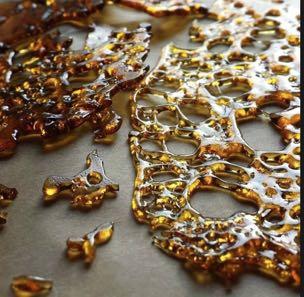 Hash Oil, Wax, and Shatter, etc Average potency for