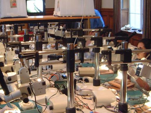 Since the inception of the course in 1976 over 1200 otologists in training have attended.