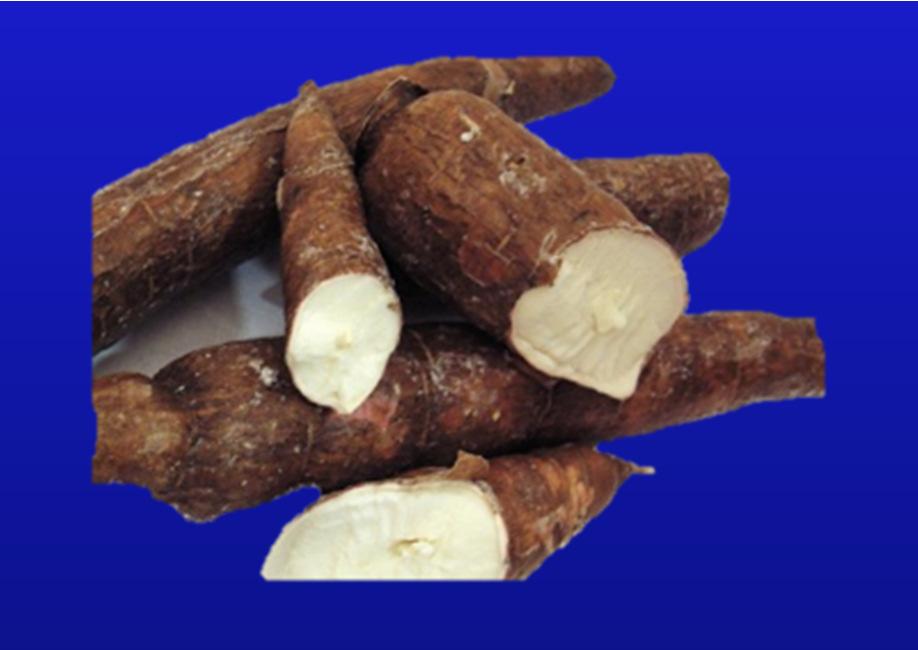 Cassava (manioc, tapioca) Product Cassava chips Cassava meal Cassava refuse Cassava flour