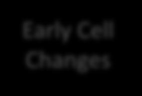 capacity Early Cell
