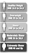 9) Overweight (BMI 25 to 29.9) Obese (BMI 30 to 34.9) Severely Obese (BMI 35 to 39.