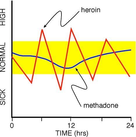 Differences in Response to Heroin and Methadone