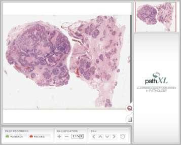Virtual slides for Tissue Archiving and Research On-line