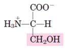 (serine) R K R SH Thiol SH Sulfahydryl Example: amino acid (cysteine) R