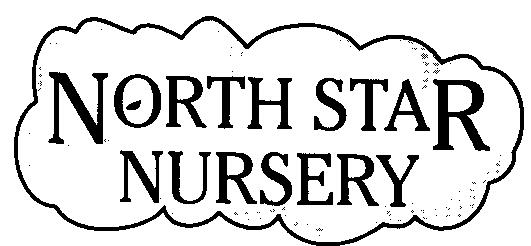 NORTH STAR NURSERY AND HOLIDAY CLUB CHILDHOOD AILMENTS POLICY North Star Nursery and Holiday Club cannot provide care for children who are unwell, have a raised temperature, sickness and/or diarrhoea