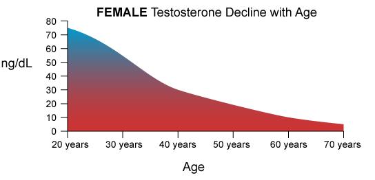 WHAT ABOUT TESTOSTERONE? Levels peak in a woman s 20s and decline slowly thereafter. By menopause, level is at half of its peak.