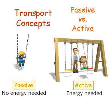 Passive Transport A process that does not require energy to move