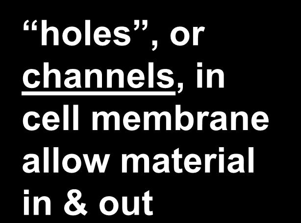 Permeable cell membrane Need to allow more material through membrane needs to be to all materials a cell needs to all waste a cell needs all