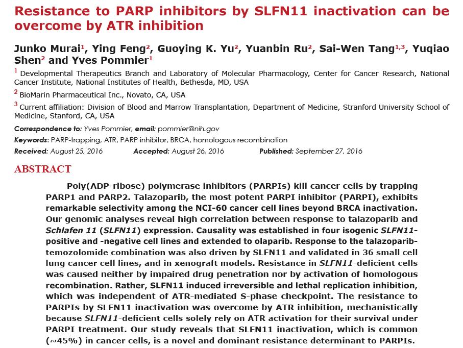 Can ATR inhibition overcome PARP inhibitor resistance?