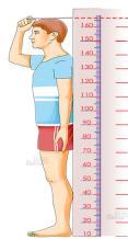 Basic Adult Fitness Assessment Height (inches): Legs together, hands at sides, chin tucked, look straight ahead Weight (pounds) Resting heartrate Resting BP Waist