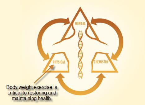 Forward: Dr. Osborne here, As seen below in, the Triangle of Health, physical exercise is critical for good health.