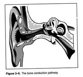 Ear Anatmy Ear Canal Inner Ear Eustachian Tube Eardrum Middle Ear Pinna With Permissin frm Plural